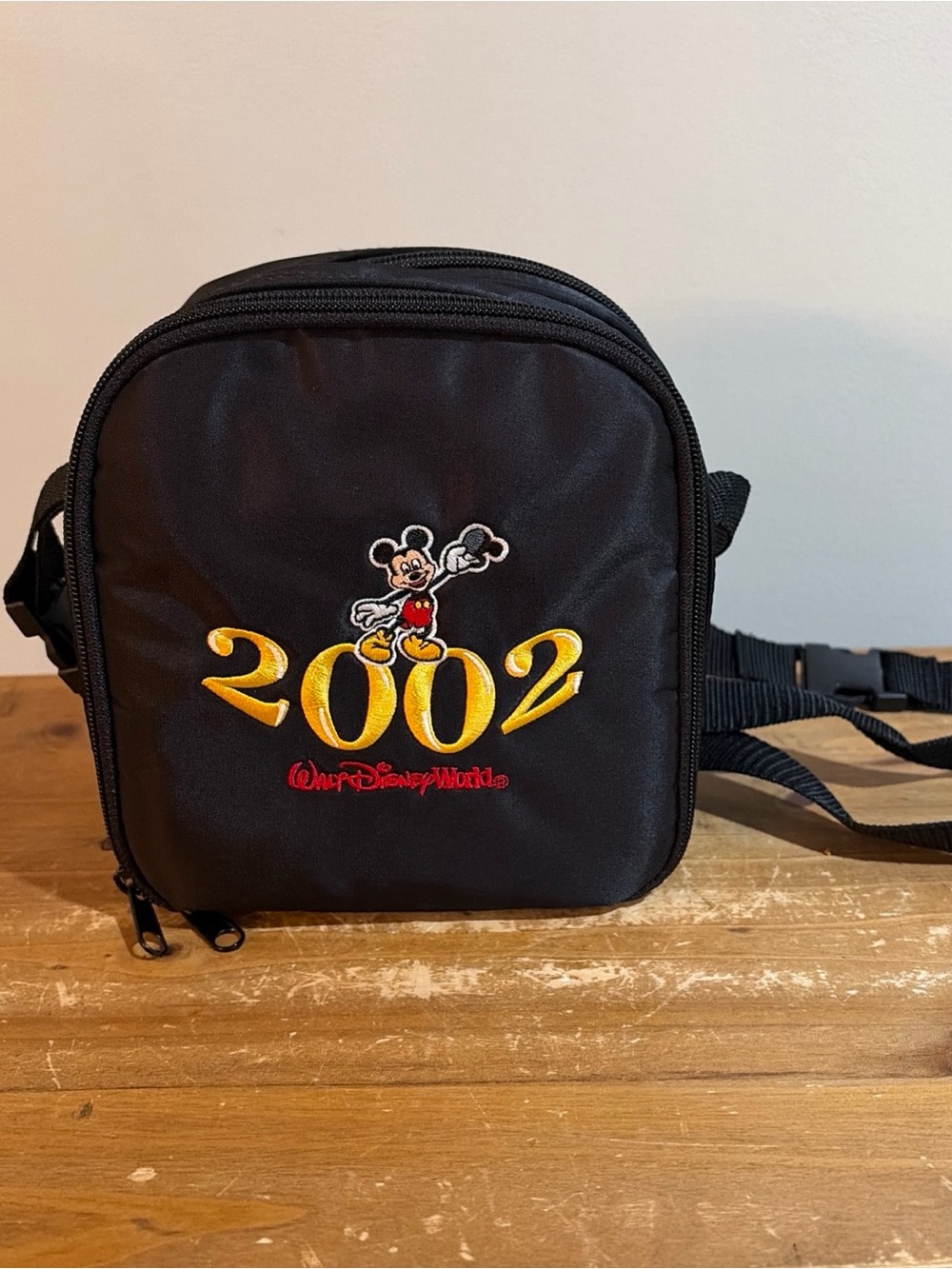 Walt Disney World 2002 Black CD / DVD Bag with Mickey Mouse Embroidery